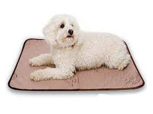 Critter Pet Absorbent Pad by Conni